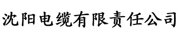 保洁阿姨给钱就给做服务吗电缆厂logo